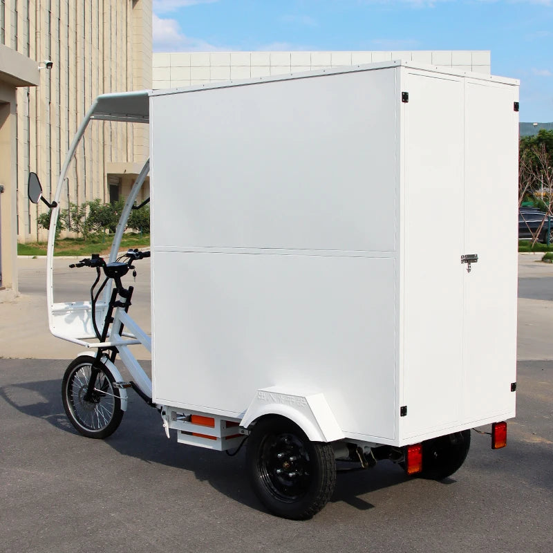 Tricycle Cargo Électrique Adulte Ouvert 3 Roues 1000W 48V