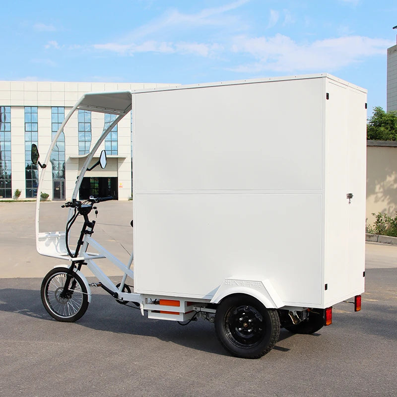 Tricycle Cargo Électrique Adulte Ouvert 3 Roues 1000W 48V