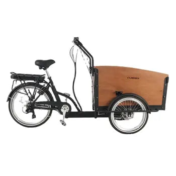 Velos Cargo Electrique Trike 3 Roues Familial