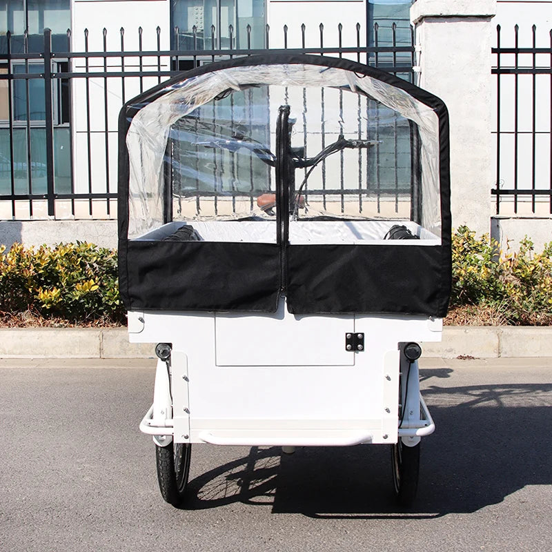 Tricycle Cargo Électrique 20 pouces avec Siège Enfant