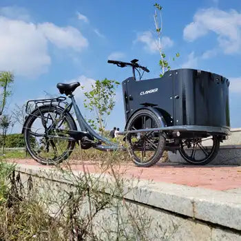 Vélo Cargo Électrique 3 Roues