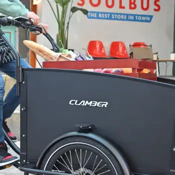 Tricycle Électrique pour Adultes Trois Roues Cargo Bike