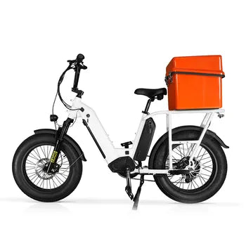 Vélo Cargo Electrique 500w 750w