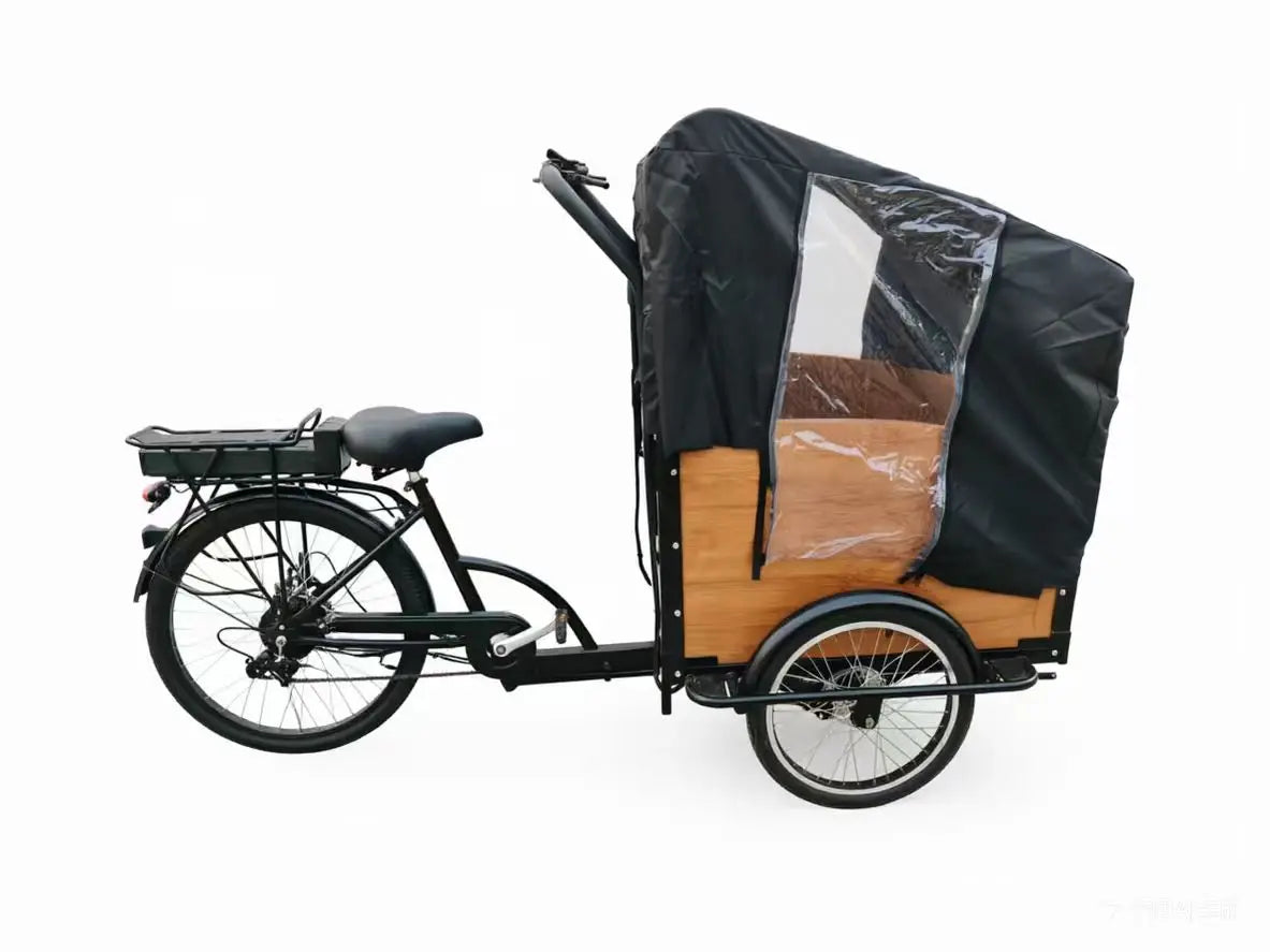 Tricycle Électrique Utilitaire 48V Batterie Lithium Frein à Disque