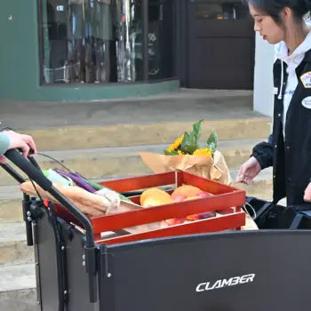 Tricycle Électrique pour Adultes Trois Roues Cargo Bike