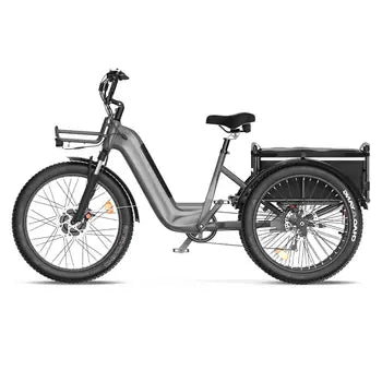 Vélo électrique cargo pour adultes