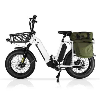 Vélo Cargo Electrique 500w 750w