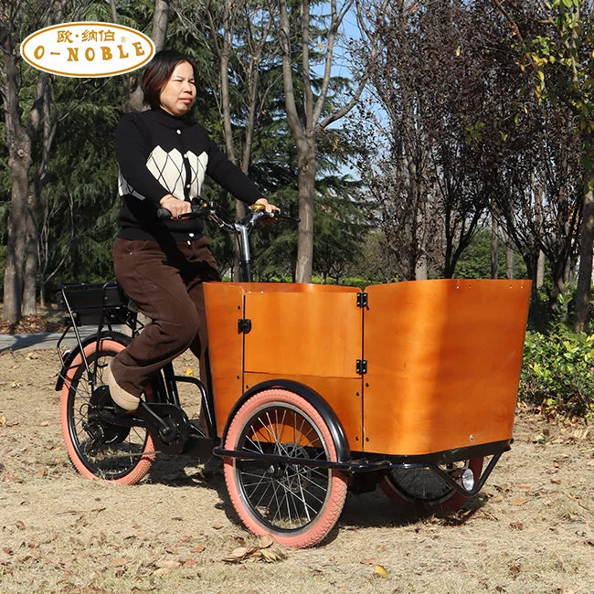 Tricycle Cargo Électrique 250W 6 Vitesses Freins à Disque