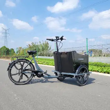 Vélo Cargo Électrique 3 Roues