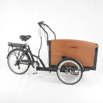 Velos Cargo Electrique Trike 3 Roues Familial