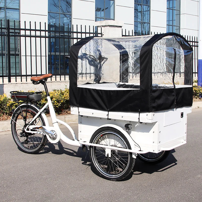 Tricycle Cargo Électrique 20 pouces avec Siège Enfant