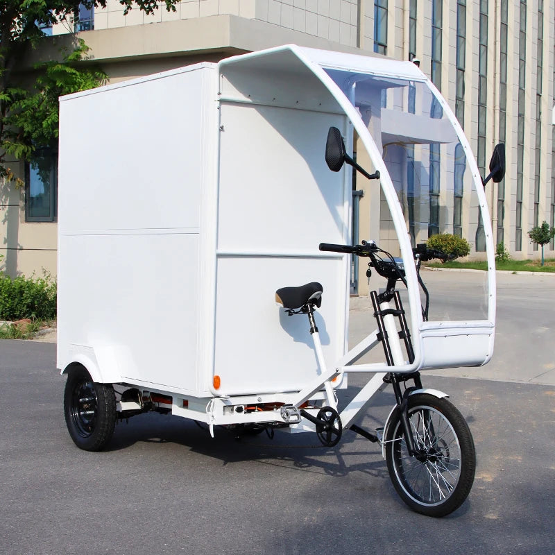 Tricycle Cargo Électrique Adulte Ouvert 3 Roues 1000W 48V