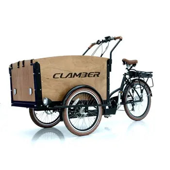 Velos Cargo Electrique Trike 3 Roues Familial