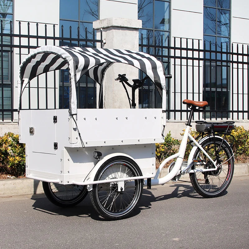 Tricycle Cargo Électrique 20 pouces avec Siège Enfant