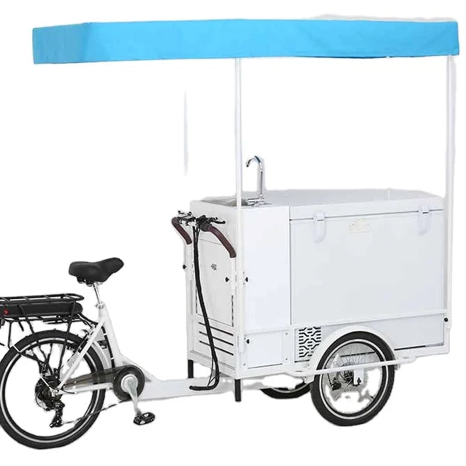 Tricycle Cargo Électrique Congélateur 250W 36V 200L