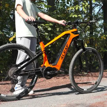 Vélo électrique tout terrain carbone 29 pouces