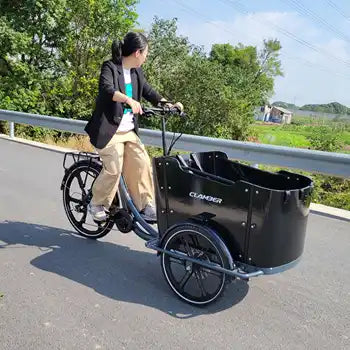 Vélo Cargo Électrique 3 Roues