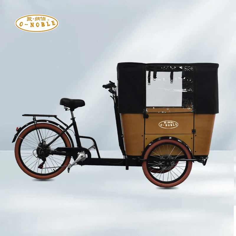 Tricycle Cargo Électrique 250W 6 Vitesses Freins à Disque
