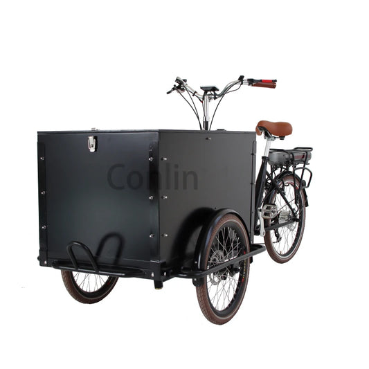Tricycle Cargo Électrique Conlin 250W Batterie Lithium 36V 13Ah