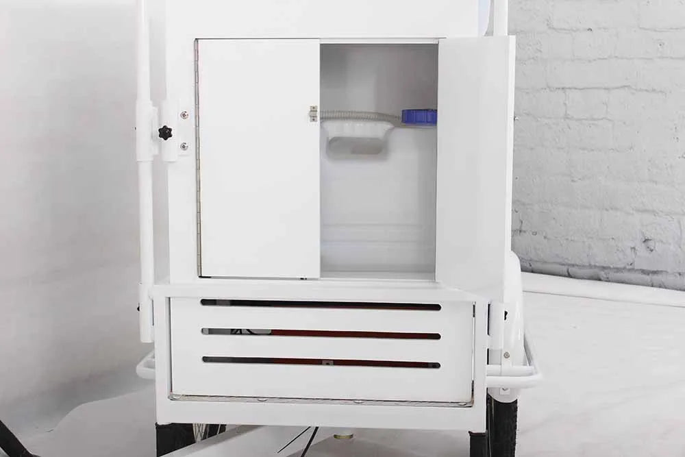 Tricycle Cargo Électrique Congélateur 250W 36V 200L