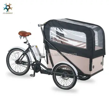 Cargotricycle Électrique 36V 9Ah pour Livraison