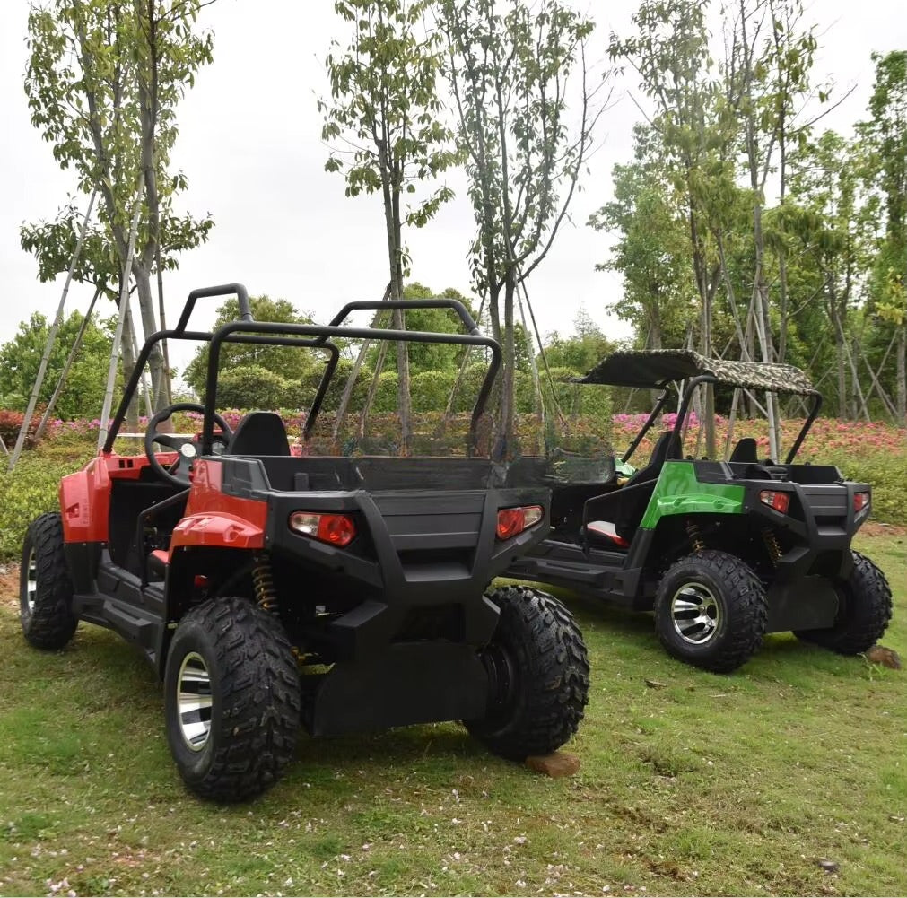 buggy Tout-Terrain Électrique 3000W