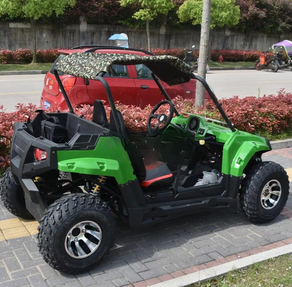 buggy Tout-Terrain Électrique 3000W