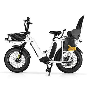 Vélo Cargo Electrique 500w 750w