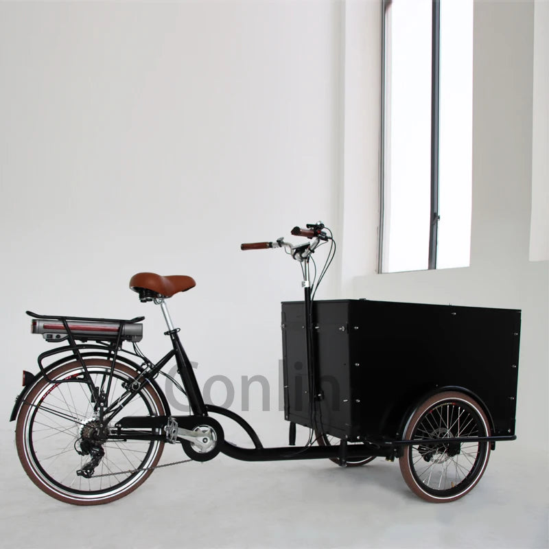 Tricycle Cargo Électrique Conlin 250W Batterie Lithium 36V 13Ah