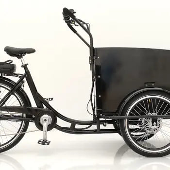 Tricycle Électrique pour Adultes Trois Roues Cargo Bike