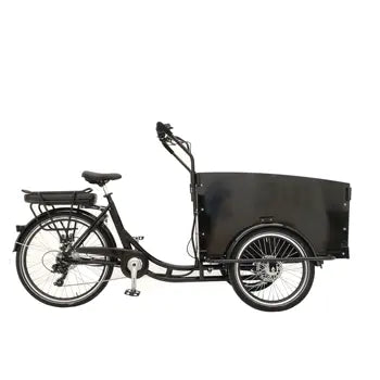 Tricycle Électrique pour Adultes Trois Roues Cargo Bike