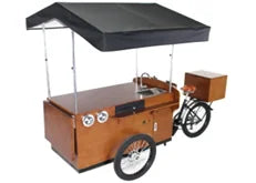 Tricycle Café Électrique 3 Roues 500W Batterie Lithium 36V 10Ah
