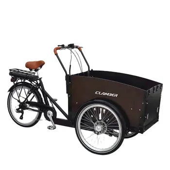 Tricycle Électrique 24 Pouces pour Adulte