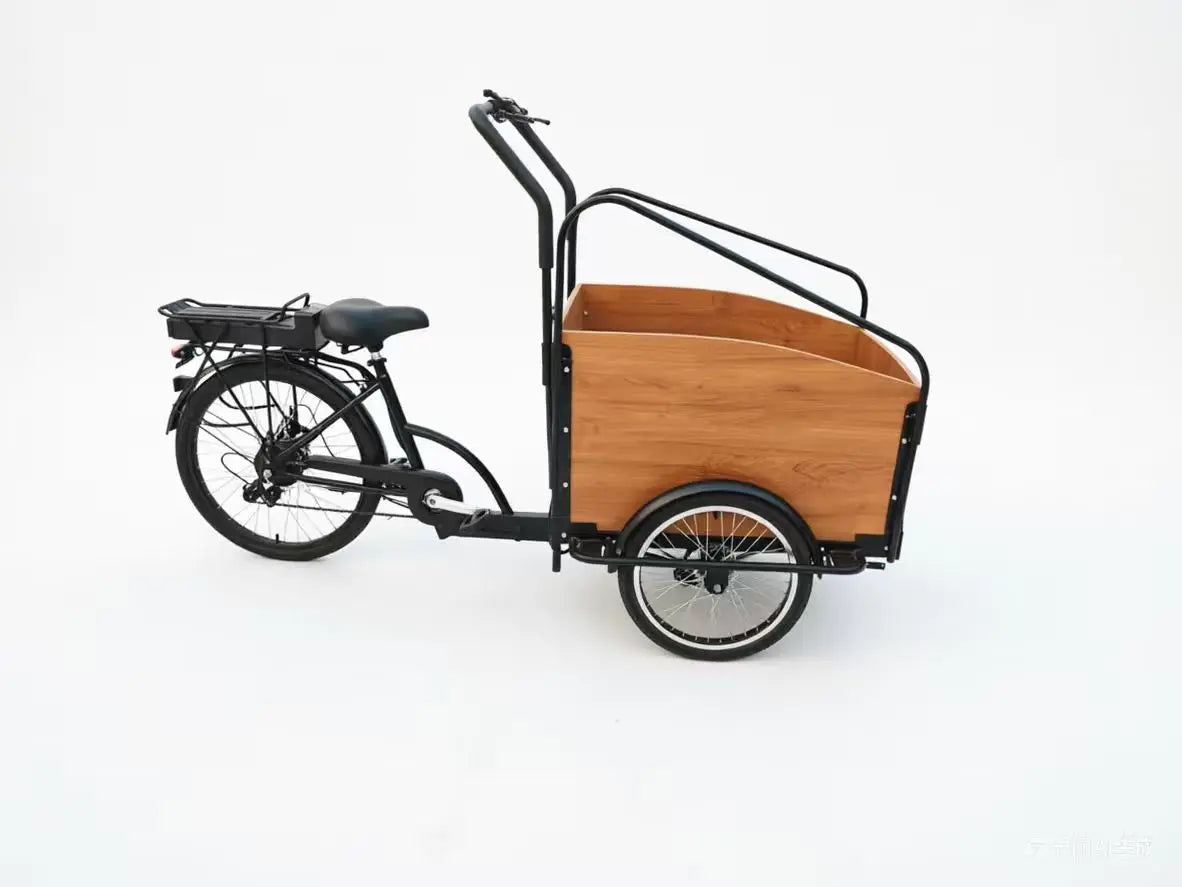 Tricycle Électrique Utilitaire 48V Batterie Lithium Frein à Disque