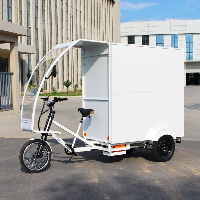 Tricycle Cargo Électrique Adulte Ouvert 3 Roues 1000W 48V
