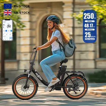 Vélo Pliable Électrique OT16-2 250W