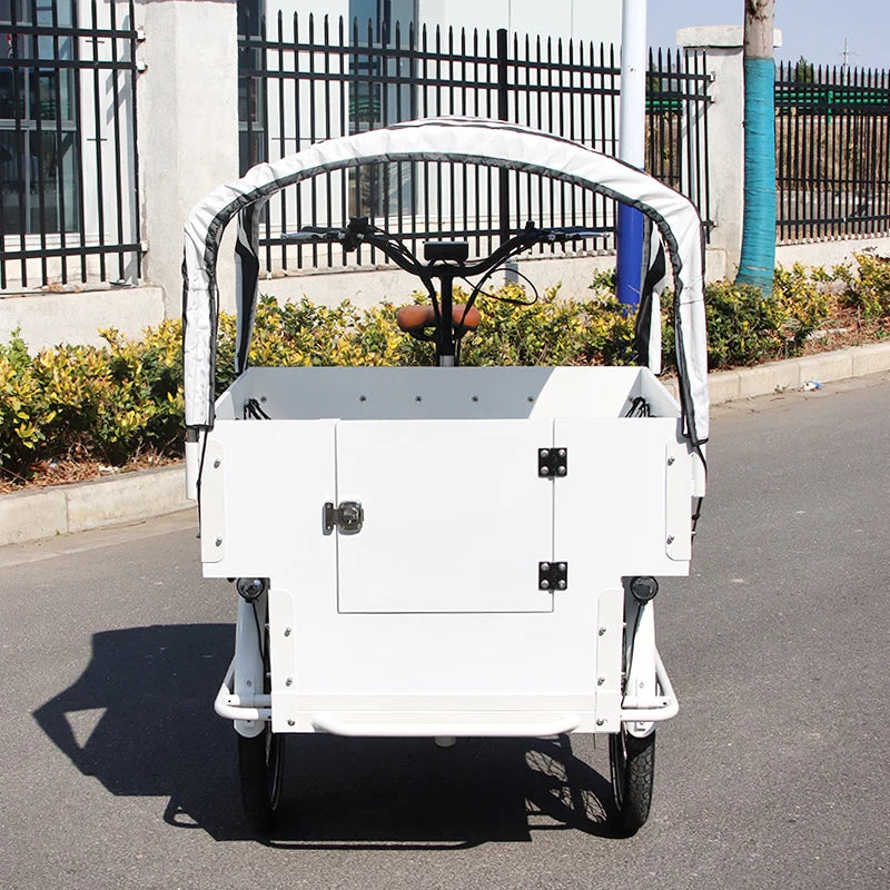 Tricycle Cargo Électrique 20 pouces avec Siège Enfant