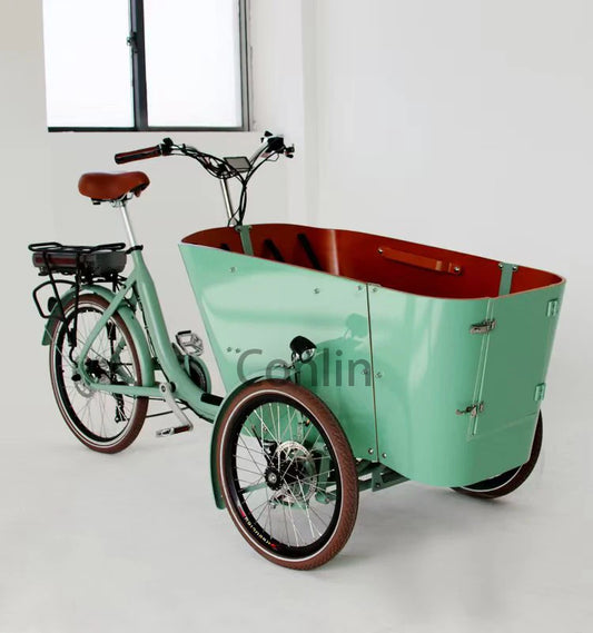 Vélo électrique cargo familial 4 places, tricycle à 3 roues