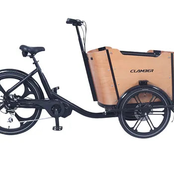 Vélo Cargo Électrique 3 Roues