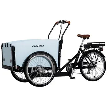 Tricycle Électrique 24 Pouces pour Adulte