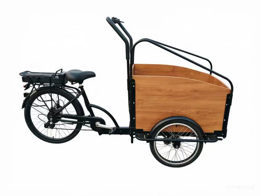 Tricycle Électrique Utilitaire 48V Batterie Lithium Frein à Disque