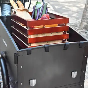 Tricycle Électrique pour Adultes Trois Roues Cargo Bike