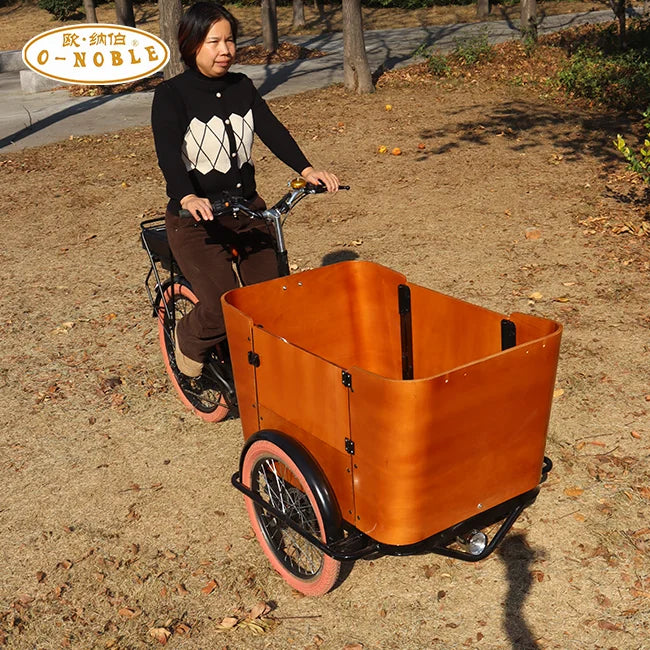 Tricycle Cargo Électrique 250W 6 Vitesses Freins à Disque