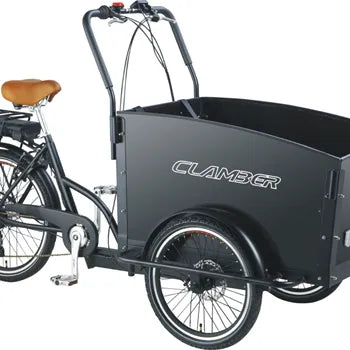 Velos Cargo Electrique Trike 3 Roues Familial