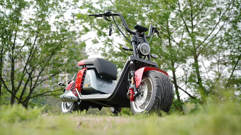 Scooter électrique Citycoco Feiwo 701
