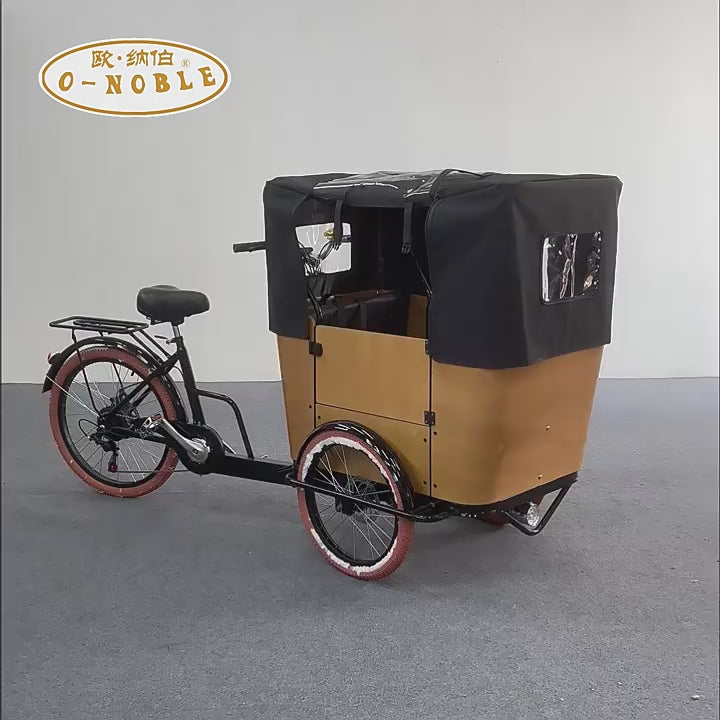 Tricycle Cargo Électrique 250W 6 Vitesses Freins à Disque