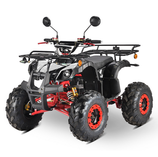 3000W Elektro-ATV-Quad für Erwachsene ATV 60v Elektro-ATV-Quad