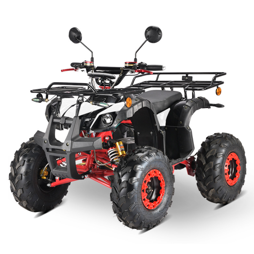 3000W Adult Electric ATV Quad Bike ATV 60v Electric ATV Quad Bike